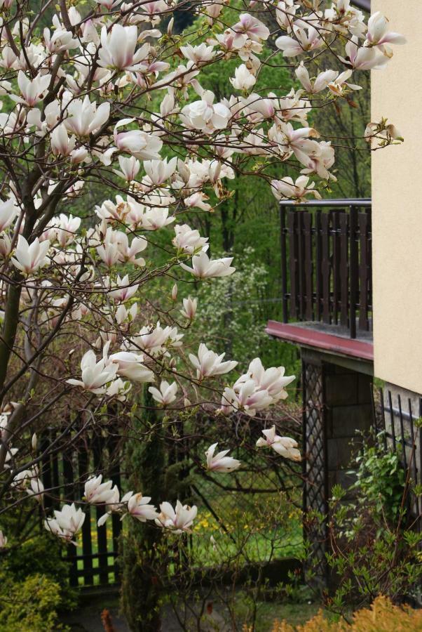 Ferienwohnung Apartament W Kozubniku Z Widokiem Na Gory Porąbka Exterior foto