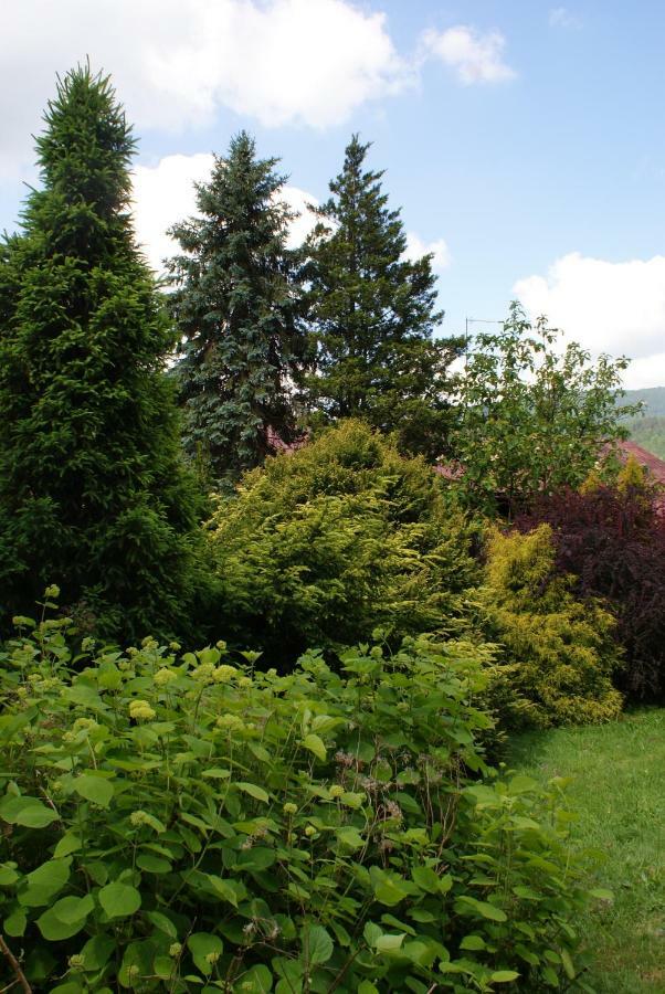 Ferienwohnung Apartament W Kozubniku Z Widokiem Na Gory Porąbka Exterior foto