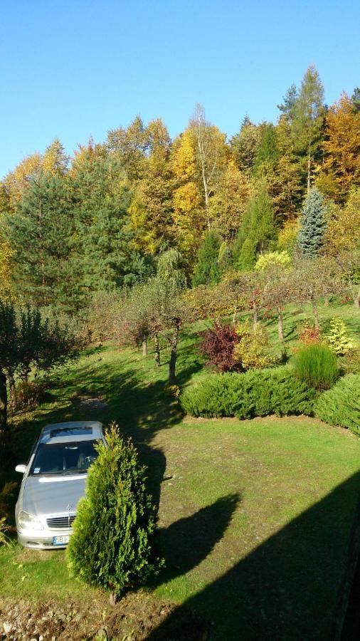 Ferienwohnung Apartament W Kozubniku Z Widokiem Na Gory Porąbka Exterior foto