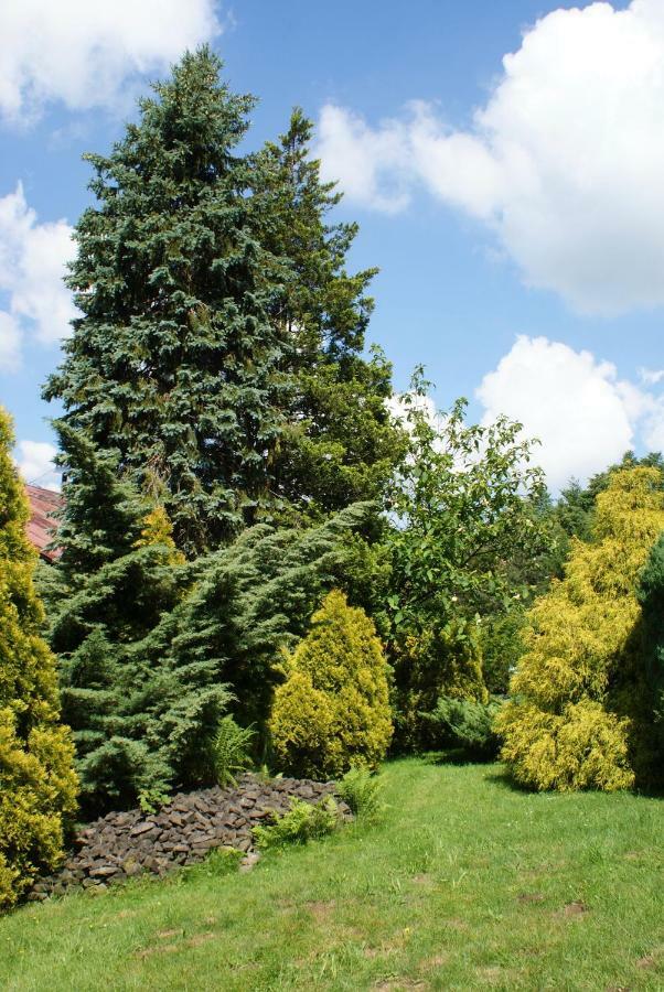 Ferienwohnung Apartament W Kozubniku Z Widokiem Na Gory Porąbka Exterior foto